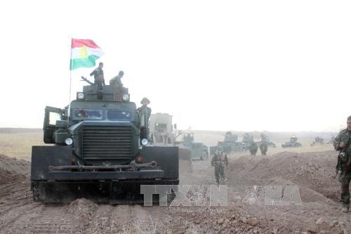 Армия Ирака вернула контроль над многими районами в пригороде Мосула  - ảnh 1